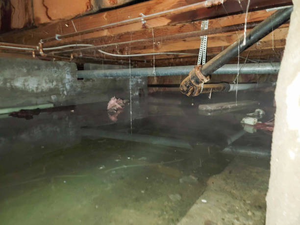 Best 24/7 water damage repair  in Westphalia, MD