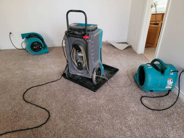 Best Ceiling water damage repair  in Westphalia, MD