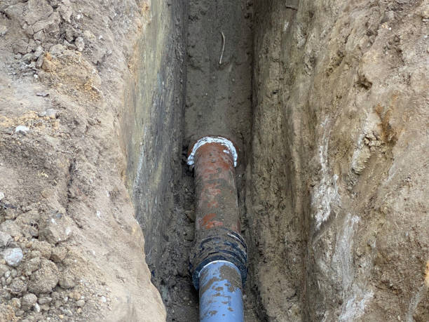 Best Sewage cleanup and water damage restoration  in Westphalia, MD