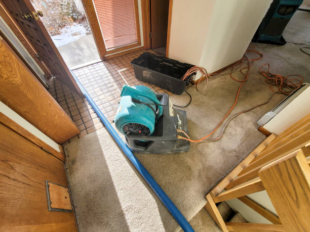Best Fire Damage Restoration  in Westphalia, MD