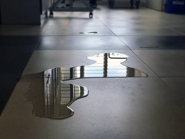 Best Professional water damage repair  in Westphalia, MD