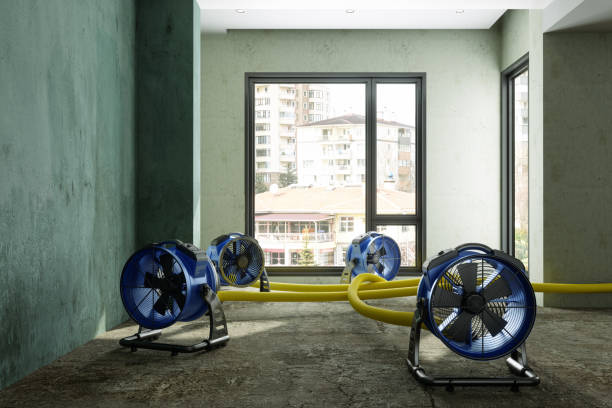 Best Commercial water damage restoration  in Westphalia, MD