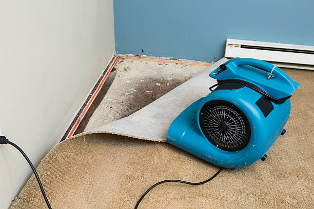 Best Water damage restoration specialists  in Westphalia, MD